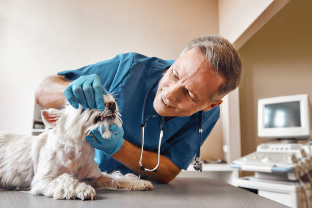 Best Emergency Dentist for Special Needs Patients in Palmview South, TX